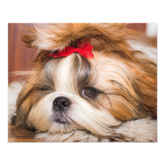 Foto på din anpassningsbar för marionettdockor för (Framsidan)