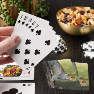 Foto på ekorren Grått-ekorren för Östra Casinokort