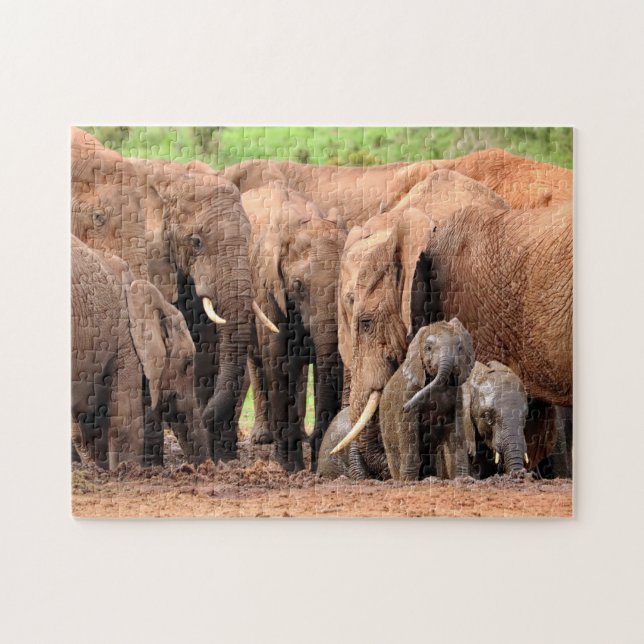 Foto på Elephants Family anpassningsbar Pussel (Horisontell)