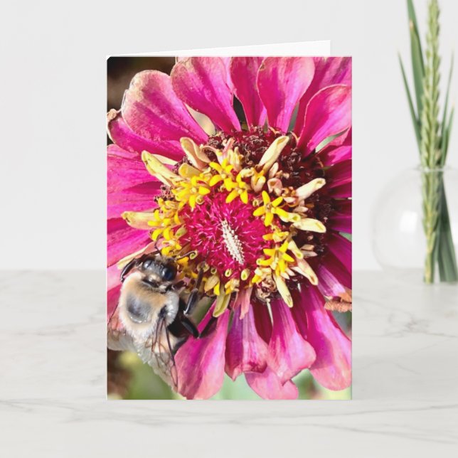 Foto på en blomma från New England Tom hälsning Kort (Framsida)