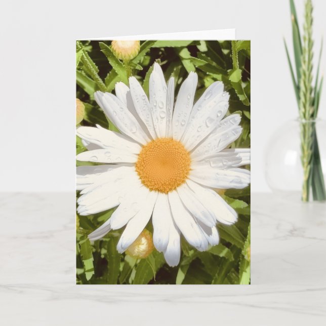 Foto på en blomma från New England Tom hälsning Kort (Framsida)