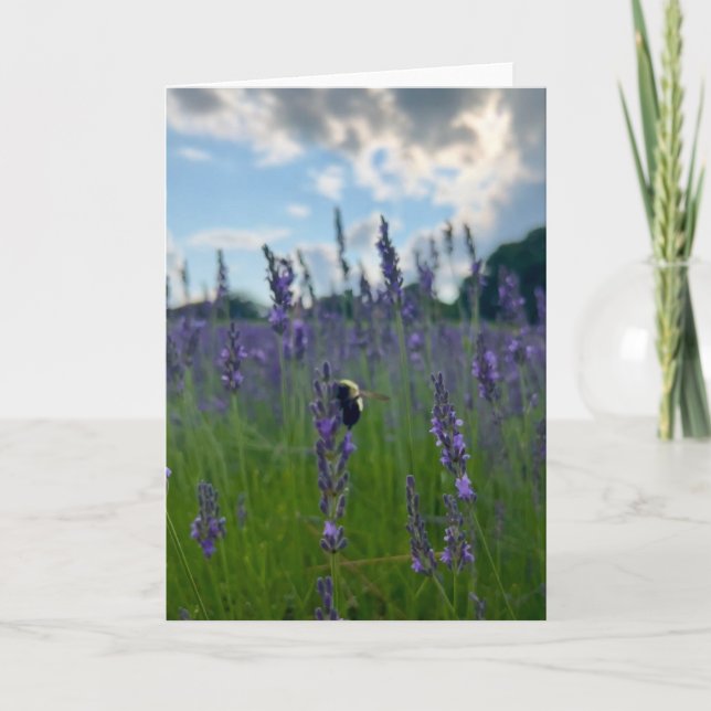 Foto på en blomma från New England Tom hälsningsko Kort (Framsida)