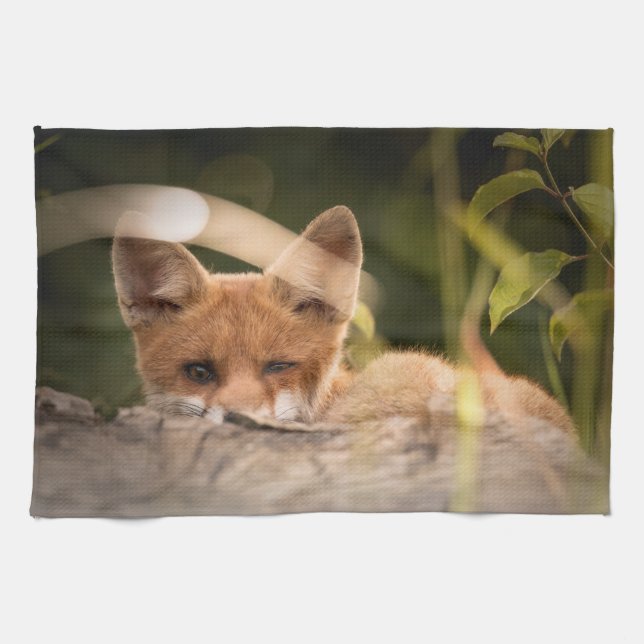 Foto på en Cute Little Fox Kökshandduk (Horisontell)