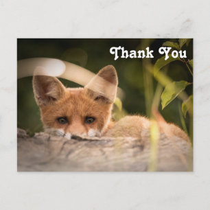 Foto på en Cute Little Fox-Tack Vykort
