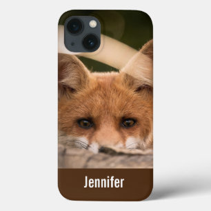 Foto på en Cute Little Orange Fox