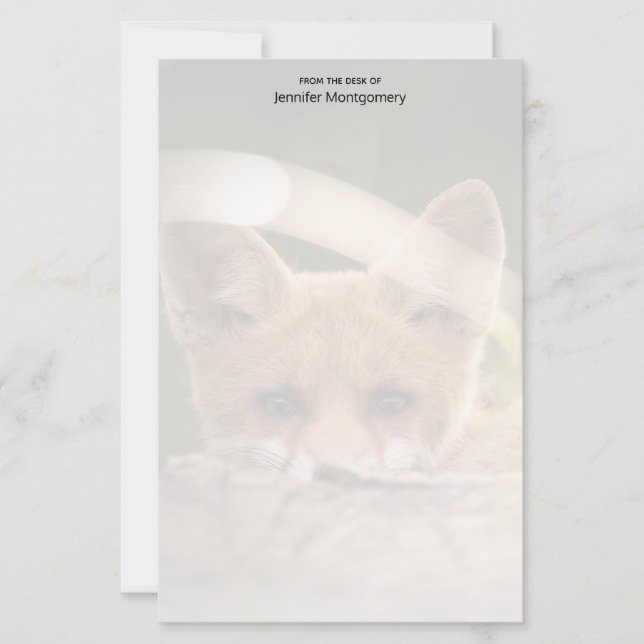 Foto på en Cute Little Orange Fox (Framsida)