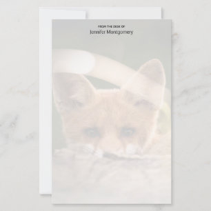 Foto på en Cute Little Orange Fox