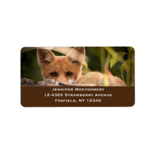 Foto på en Cute Little Orange Fox Adressetikett