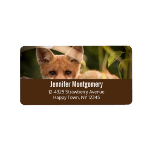 Foto på en Cute Little Orange Fox Adressetikett