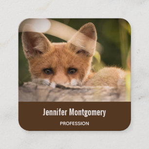 Foto på en Cute Little Orange Fox Fyrkantigt Visitkort