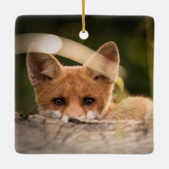 Foto på en Cute Little Orange Fox Julgransprydnad Keramik (Baksida)