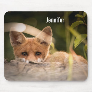 Foto på en Cute Little Orange Fox Musmatta