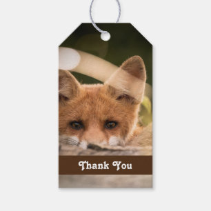 Foto på en Cute Little Orange Fox Presentetikett