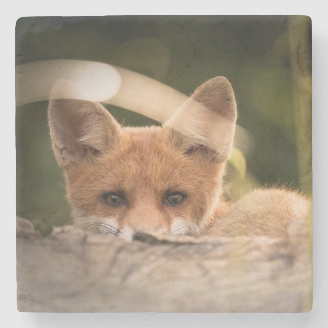 Foto på en Cute Little Orange Fox Stenunderlägg (Framsidan)