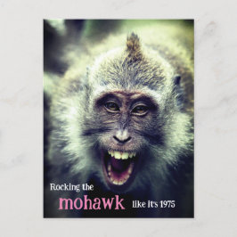 Foto på en fin makaque monkey helg vykort