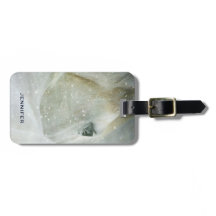 Foto på en vacker vit häst i vinter