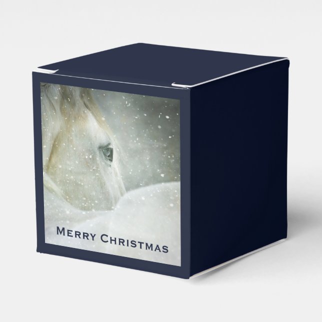 Foto på en vacker vit häst i vinter presentaskar (Framsidan Sidan)