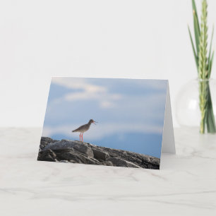 Foto på fågelnatur kort