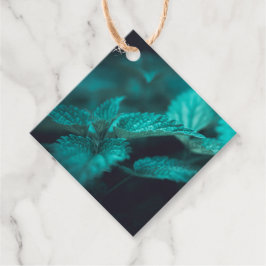 Foto på fixeringsnettens natur gåvor etiketter