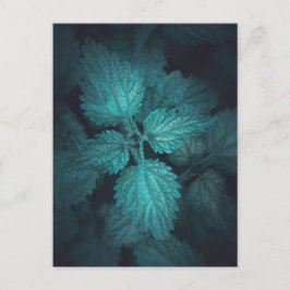 Foto på fixeringsnettens natur helg vykort