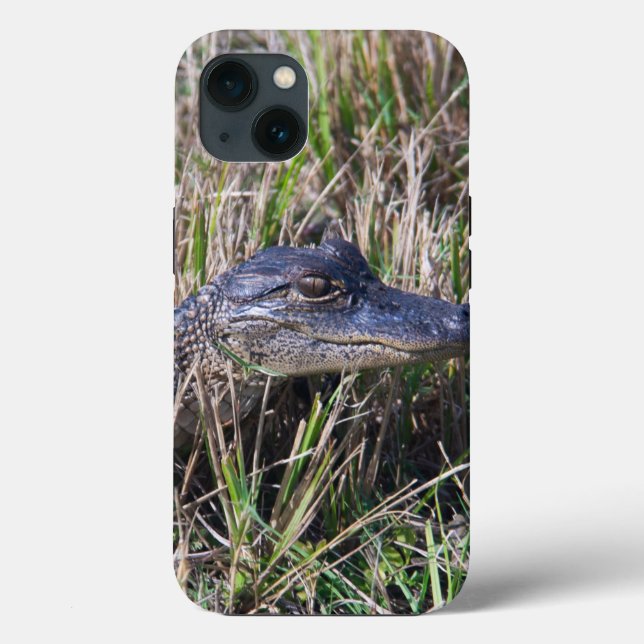 Foto på Floridas träskbebis alligator reptil (Baksida)