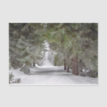 Foto på Forest Road Snö Gräs Träd