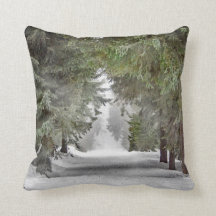 Foto på Forest Road Snö Gräs Träd