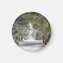 Foto på Forest Road Snö Gräs Träd