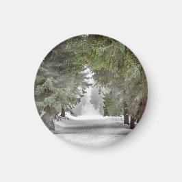 Foto på Forest Road Snö Gräs Träd Magnet