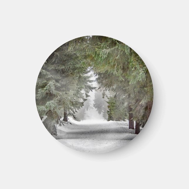 Foto på Forest Road Snö Gräs Träd Magnet (Framsidan)