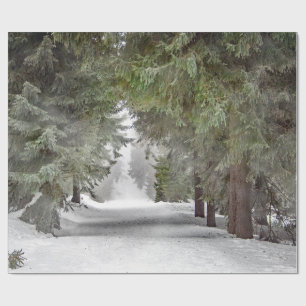 Foto på Forest Road Snö Gräs Träd Presentpapper