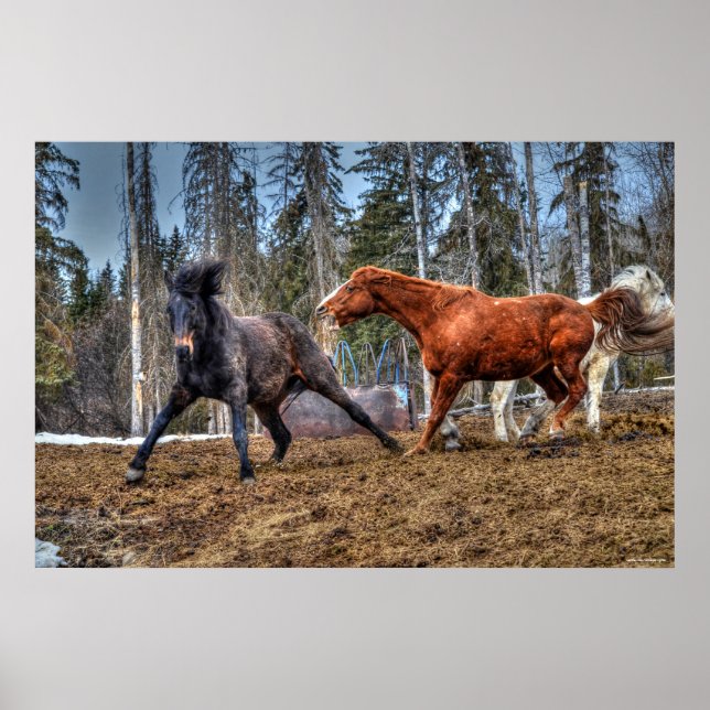 Foto på häst med hästkapplöpning poster (Framsidan)