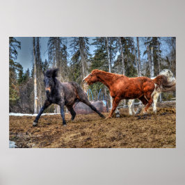 Foto på häst med hästkapplöpning poster