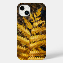Foto på hösten Löv Golden Gult Fern