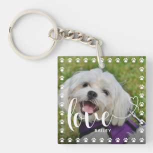 Foto på Hund Puppy Pet Puppy i Valentines day