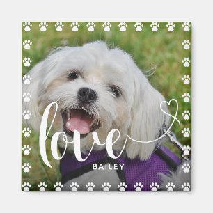 Foto på Hund Puppy Pet Puppy i Valentines day Magnet