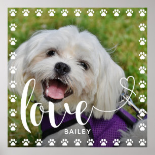 Foto på Hund Puppy Pet Puppy i Valentines day Poster