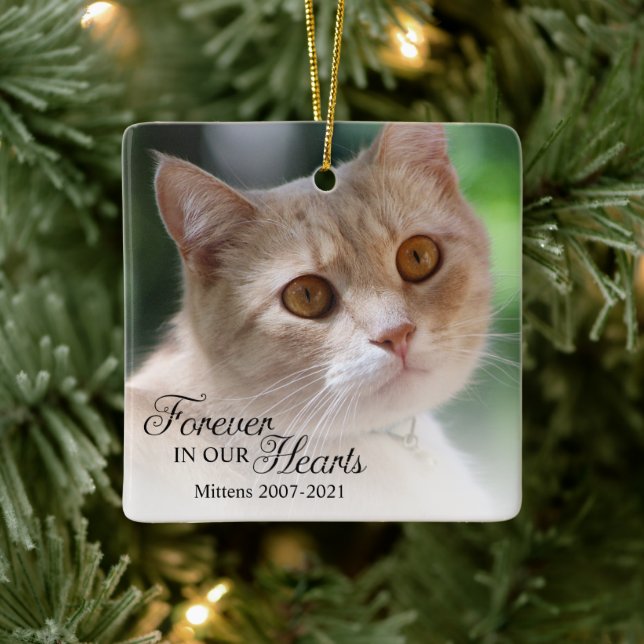 Foto på katt för evigt i våra hjärtan julgransprydnad keramik (Träd)