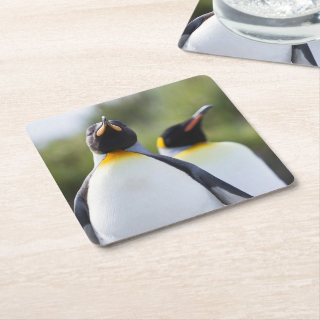 Foto på Kung Pingguins Underlägg Papper Kvadrat (Vinklad)