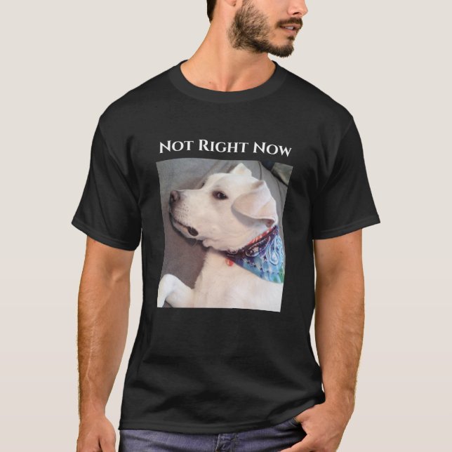 Foto på Lazy Hund Wearing Scarf T Shirt (Framsida)
