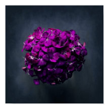 Foto på Lila Blommigt