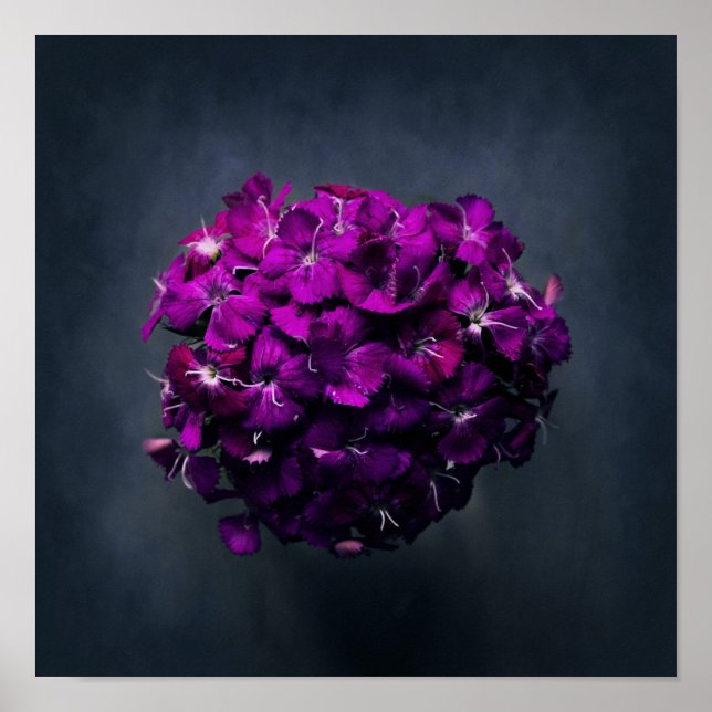 Foto på Lila Blommigt Poster (Framsidan)