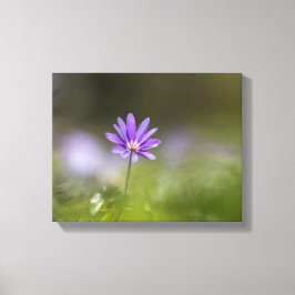 Foto på lilans vindblomstyp canvastryck