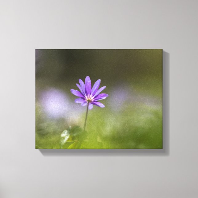 Foto på lilans vindblomstyp canvastryck (Framsida)