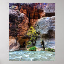Foto på Lone Träd Zion National Park Virgin River