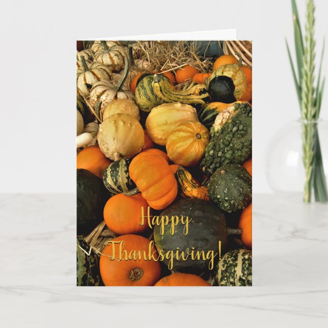 Foto på minipumpor och gourds-sortering kort (Framsida)