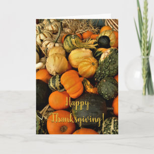 Foto på minipumpor och gourds-sortering kort