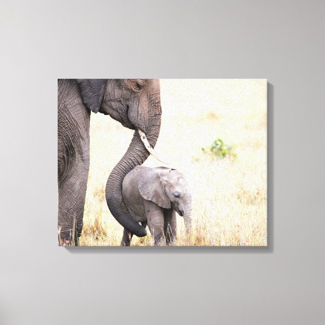 Foto på Motherly kärlek elephant baby Canvastryck (Framsida)