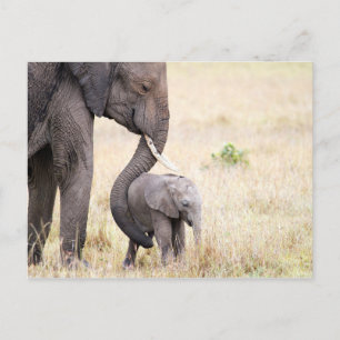 Foto på Motherly kärlek elephant baby Vykort