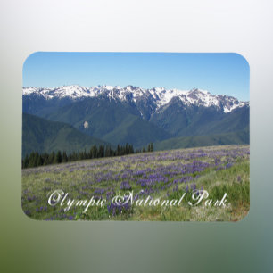 Foto på Olympic National Park Magnet